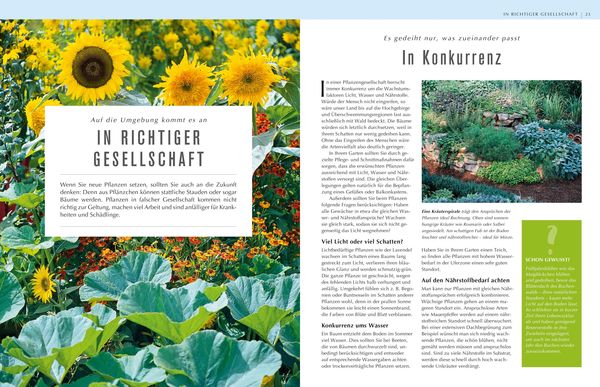 Produktbild: Rettung in Sicht &ndash; Der Pflanzendoc im Einsatz