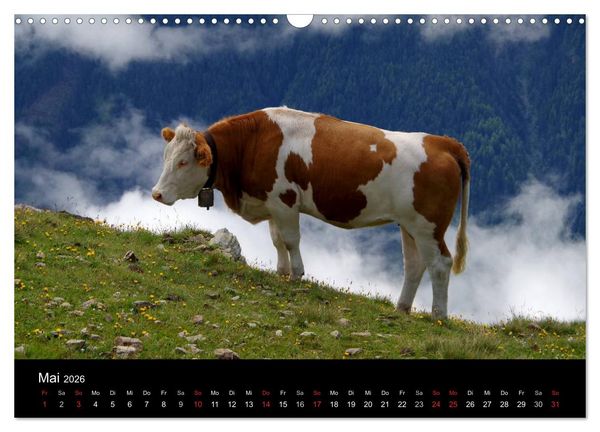 Produktbild: Im Tauferer Ahrntal in S&uuml;dtirol (Wandkalender 2026 DIN A3 quer), CALVENDO Monatskalender