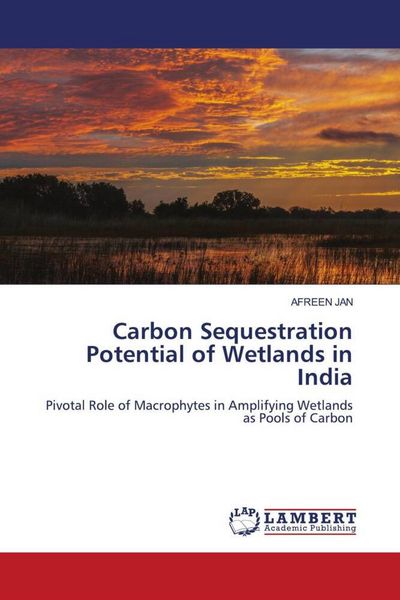 Produktbild: Carbon Sequestration Potential of Wetlands in India
