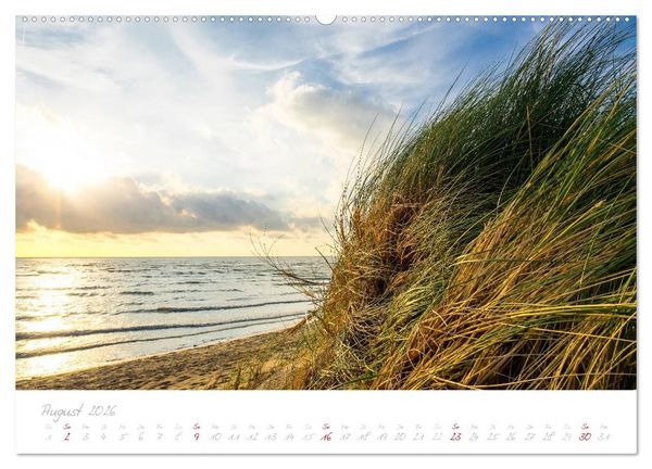 Produktbild: Zeeland (Wandkalender 2026 DIN A2 quer), CALVENDO Monatskalender