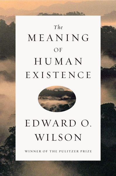 Produktbild: The Meaning of Human Existence