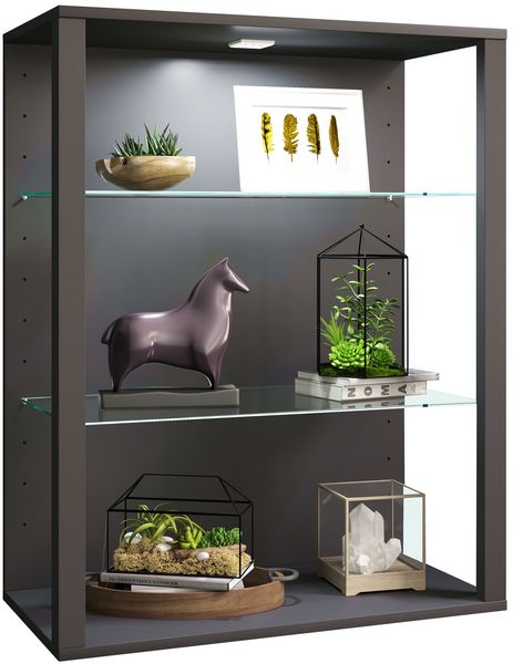 Produktbild: olz Glas Stand Vitrine Sammelvitrine Glasol LW
