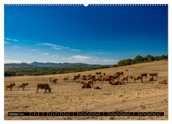 Produktbild: Wildes Sardinien 2026 (Wandkalender 2026 DIN A2 quer), CALVENDO Monatskalender