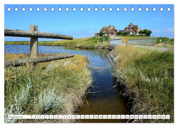 Produktbild: Sommertage auf Hallig Hooge (Tischkalender 2026 DIN A5 quer), CALVENDO Monatskalender