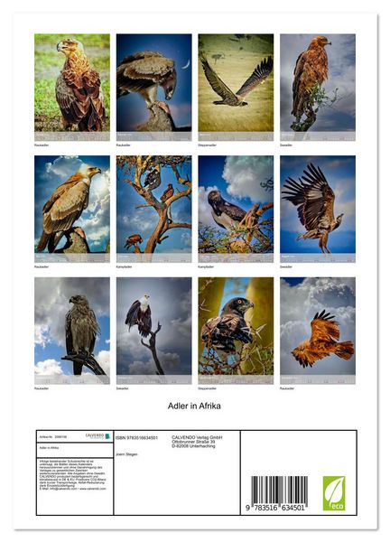 Produktbild: Adler in Afrika (Wandkalender 2026 DIN A4 hoch), CALVENDO Monatskalender