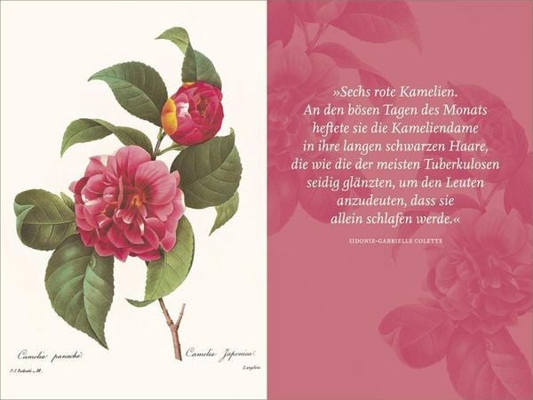 Produktbild: Die Blumen der Frauen