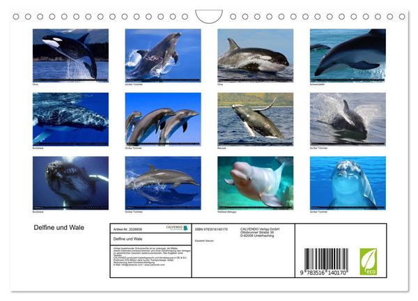 Produktbild: Delfine und Wale (Wandkalender 2026 DIN A4 quer), CALVENDO Monatskalender