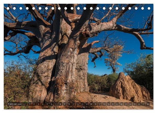 Produktbild: Botswana &ndash; Landschaft und Tierwelt (Tischkalender 2026 DIN A5 quer), CALVENDO Monatskalender