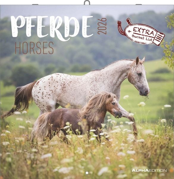Produktbild: Pferde 2026 - Broschürenkalender 30x30 cm (30x60 geöffnet) - Kalender mit Platz für Notizen - Horses - Bildkalender - Wandplaner - Pferdekalender