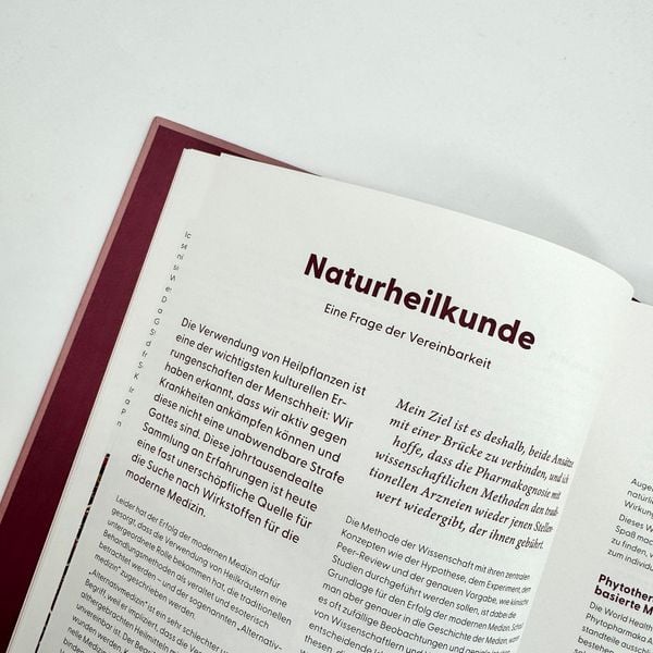 Produktbild: Wie Wildkr&auml;uter wirken