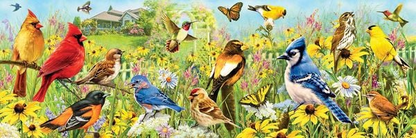 Produktbild: Backyard Birds Panoramic 1000pc