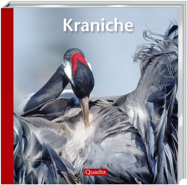 Produktbild: Kraniche