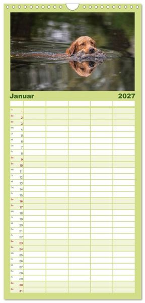 Produktbild: Familienplaner 2027 - Jagdhunde bei der Arbeit mit 5 Spalten (Wandkalender, 21 x 45 cm) CALVENDO
