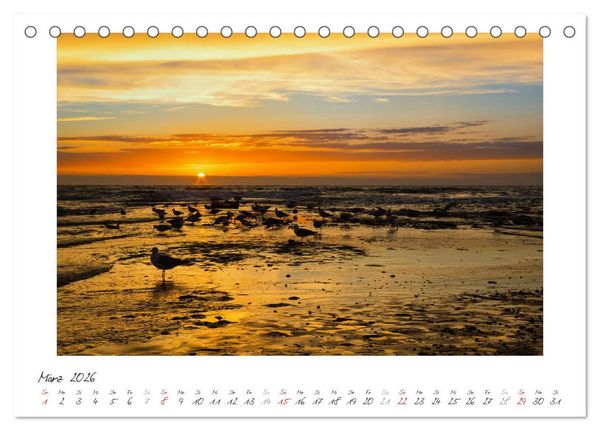 Produktbild: Nordsee - einfach Meer (Tischkalender 2026 DIN A5 quer), CALVENDO Monatskalender