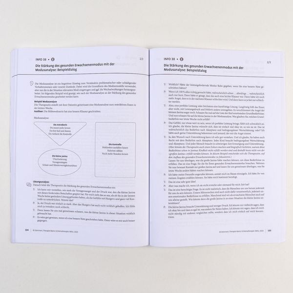 Produktbild: Therapie-Basics Schematherapie