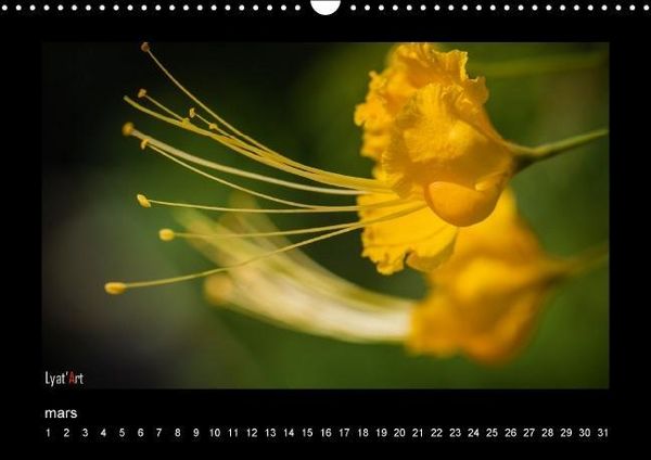Produktbild: Liatard, A: Fleurs et couleurs (Calendrier mural Calendrier
