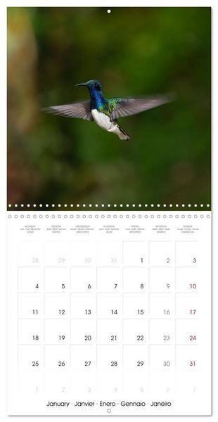 Produktbild: Costa Rica wild and peaceful (Wall Calendar 2027 12 &times; 12 Inch) CALVENDO 12 Month Wall Calendar