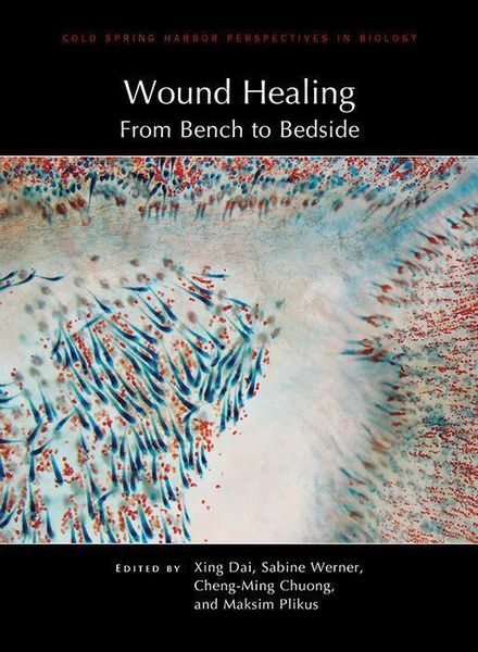 Produktbild: Wound Healing: From Bench to Bedside