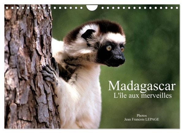 Produktbild: Madagascar L'&icirc;le aux merveilles (Calendrier mural 2026 DIN A4 vertical), CALVENDO calendrier mensuel
