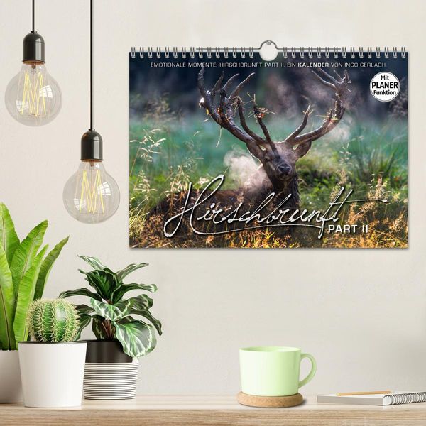 Produktbild: Emotionale Momente: Hirschbrunft. Part II. (Wandkalender 2026 DIN A4 quer), CALVENDO Monatskalender
