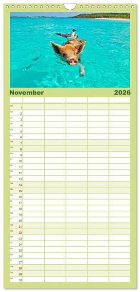Produktbild: Familienplaner 2026 - Die Westindischen Inseln - Bahamas mit 5 Spalten (Wandkalender, 21 x 45 cm) CALVENDO