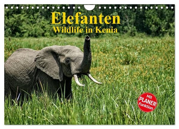 Produktbild: Elefanten . Wildlife in Kenia (Wandkalender 2026 DIN A4 quer), CALVENDO Monatskalender