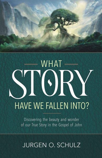 Produktbild: What Story Have We Fallen Into?