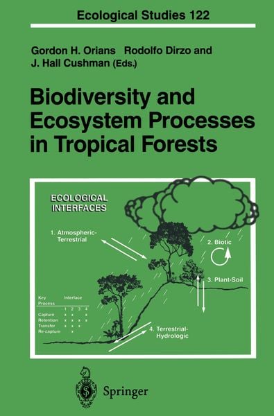 Produktbild: Biodiversity and Ecosystem Processes in Tropical Forests