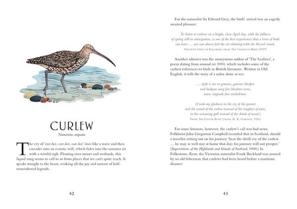 Produktbild: Britain's Birds
