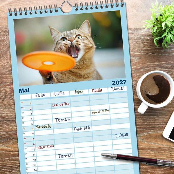 Produktbild: Familienplaner 2027 - Lustige Sportarten f&uuml;r Katzen mit 5 Spalten (Wandkalender, 21 x 45 cm) CALVENDO