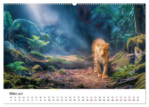 Produktbild: Gefleckte Schatten - Im Bann der Leoparden (Wandkalender 2027 DIN A2 quer), CALVENDO Monatskalender