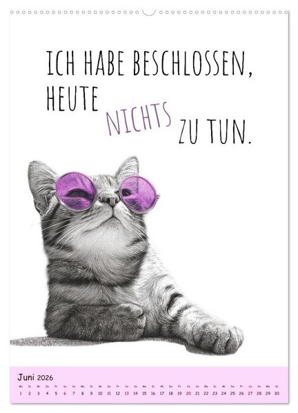 Produktbild: Katzenkult - Coolness auf vier Pfoten (Wandkalender 2026 DIN A2 hoch), CALVENDO Monatskalender