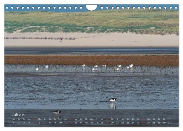 Produktbild: Texel - Meine Insel (Wandkalender 2026 DIN A4 quer), CALVENDO Monatskalender