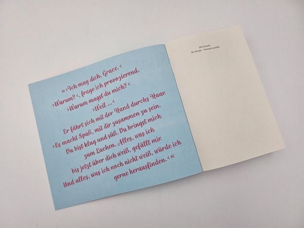 Produktbild: The Mistake &ndash; Niemand ist perfekt