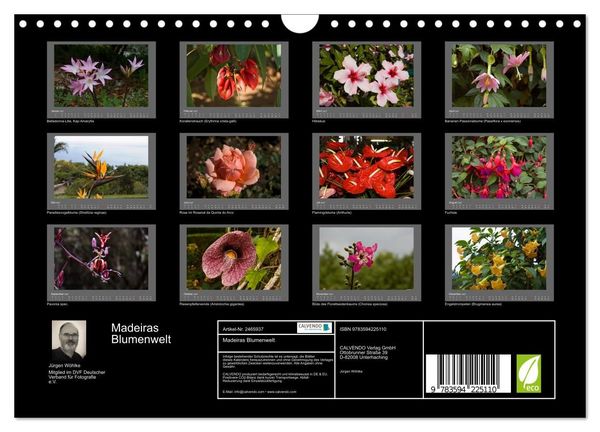Produktbild: Madeiras Blumenwelt (Wandkalender 2027 DIN A4 quer), CALVENDO Monatskalender