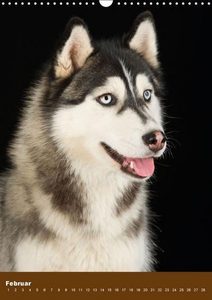 Produktbild: Hundekalender - Nordische Sch&ouml;nheiten (Wandkalender immerw&auml;hrend DIN A3 hoch)