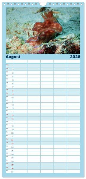 Produktbild: Familienplaner 2026 - Meeres-Schnecken mit 5 Spalten (Wandkalender, 21 x 45 cm) CALVENDO