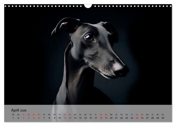 Produktbild: Black is beautiful (Wandkalender 2026 DIN A3 quer), CALVENDO Monatskalender