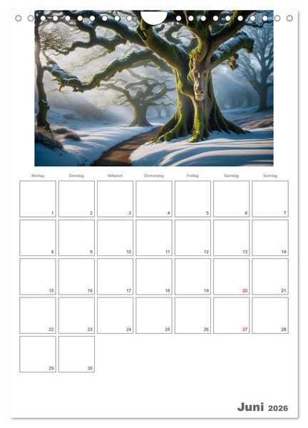 Produktbild: Der Zauberwald Eine geheimnisvolle Reise (Wandkalender 2026 DIN A4 hoch), CALVENDO Monatskalender