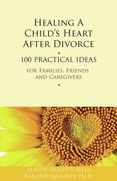 Produktbild: Healing a Child's Heart After Divorce