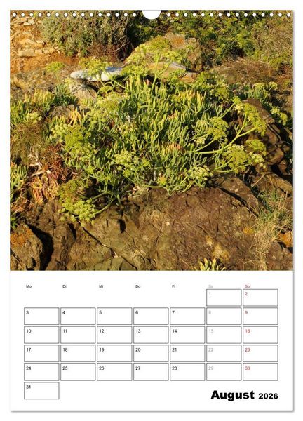 Produktbild: ELBA Trauminsel der Toskana (Wandkalender 2026 DIN A3 hoch), CALVENDO Monatskalender