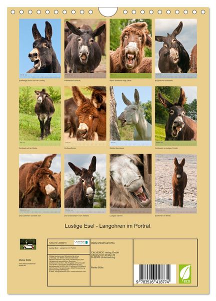 Produktbild: Lustige Esel - Langohren im Portr&auml;t (Wandkalender 2026 DIN A4 hoch), CALVENDO Monatskalender