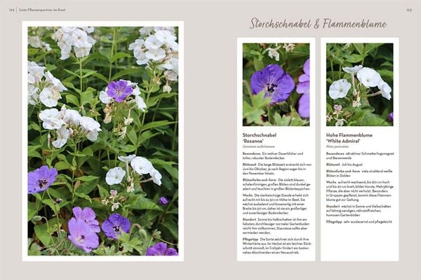 Produktbild: Klotzen statt kleckern