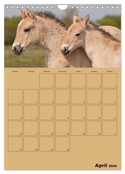 Produktbild: Pferde Gute Freunde (Wandkalender 2026 DIN A4 hoch), CALVENDO Monatskalender