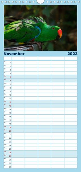 Produktbild: Papageien - Frech, sch&ouml;n und schlau - Familienplaner hoch (Wandkalender 2022 , 21 cm x 45 cm, hoch)