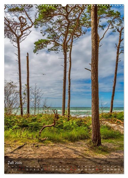 Produktbild: Wunderbare Ostseelandschaft Fischland-Dar&szlig;-Zingst (Wandkalender 2026 DIN A2 hoch), CALVENDO Monatskalender