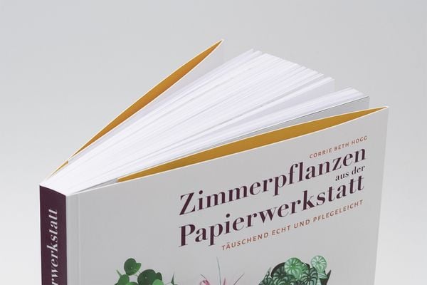 Produktbild: Zimmerpflanzen aus der Papierwerkstatt