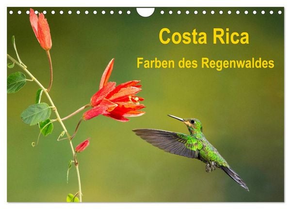 Produktbild: Costa Rica - Farben des Regenwaldes (Wandkalender 2026 DIN A4 quer), CALVENDO Monatskalender