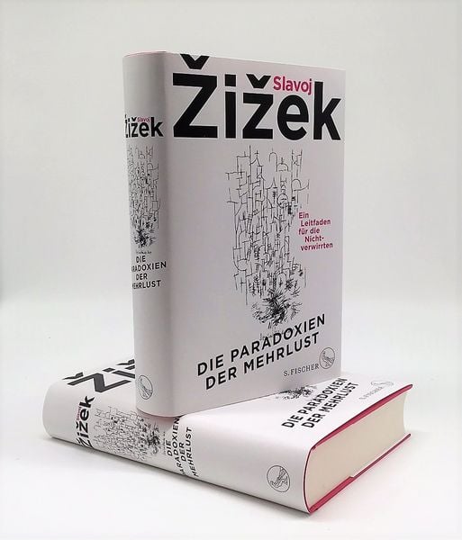Produktbild: Die Paradoxien der Mehrlust