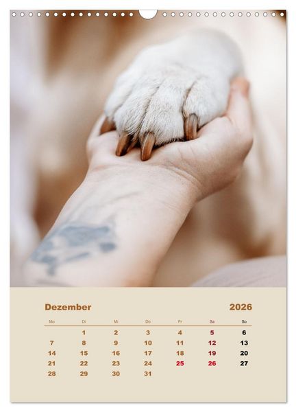 Produktbild: Du und ich - Dreamteamfotografie - Mensch und Hund (Wandkalender 2026 DIN A3 hoch), CALVENDO Monatskalender